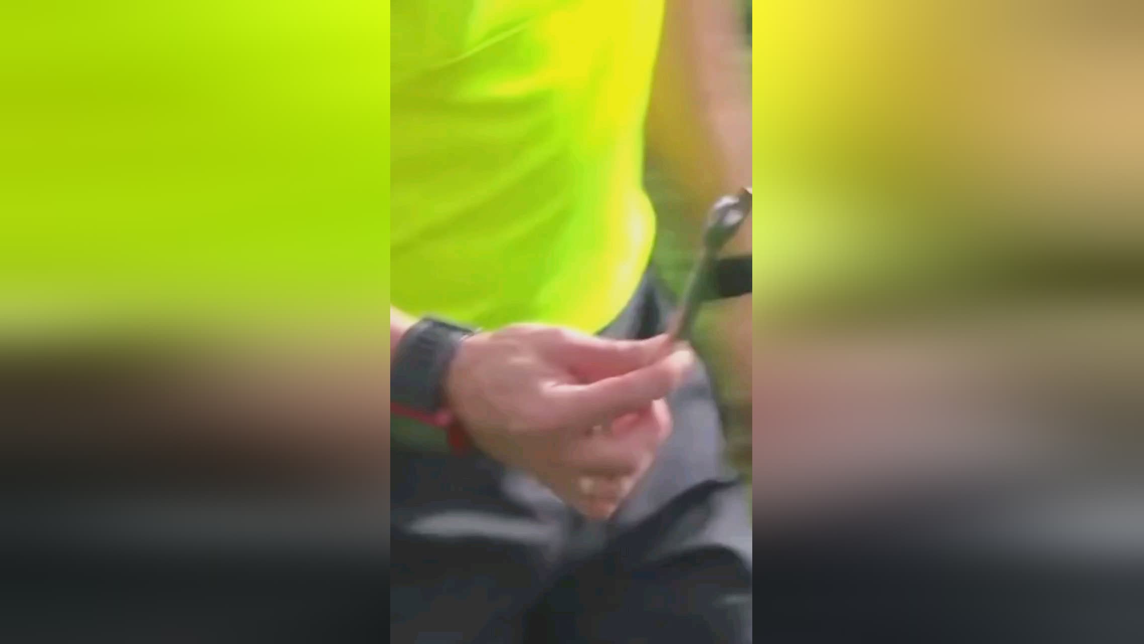 守的屏